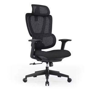 Ghế công thái học NL1201