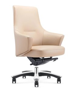 Ghế Lãnh Đạo Lưng Thấp B1904